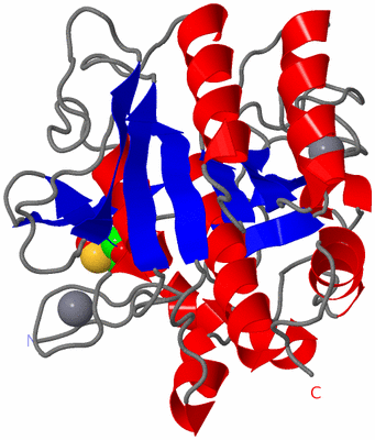 Image Asym./Biol. Unit