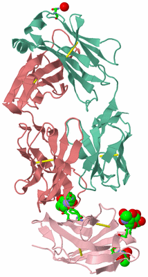 Image Asym. Unit - sites