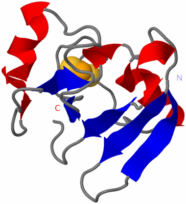 Image NMR Structure - model 1