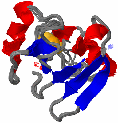 Image NMR Structure - all models