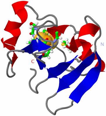 Image NMR Structure - model 1, sites