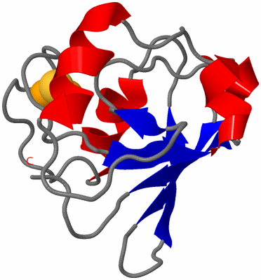 Image NMR Structure - model 1