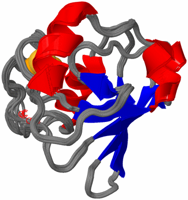 Image NMR Structure - all models