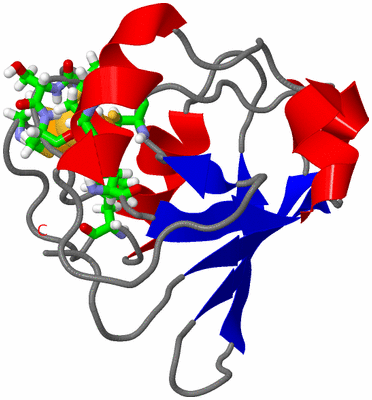 Image NMR Structure - model 1, sites
