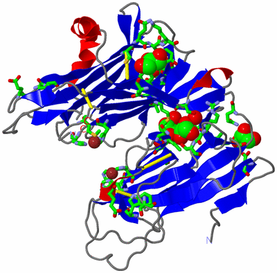 Image Asym./Biol. Unit - sites