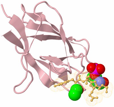 Image Biological Unit 3