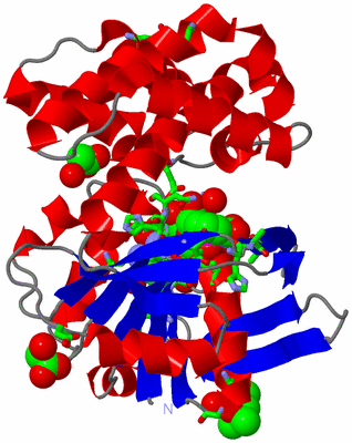 Image Asym./Biol. Unit - sites