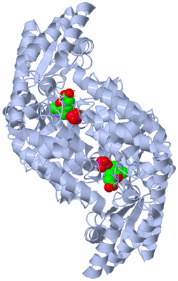 Image Biological Unit 1