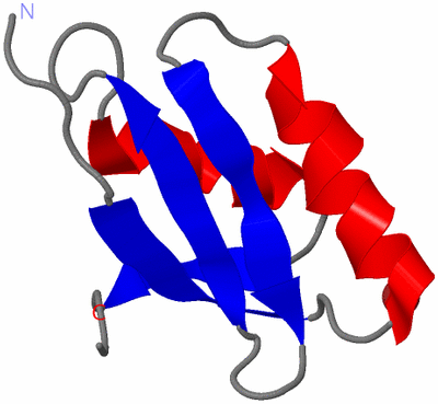 Image NMR Structure - model 1