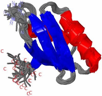 Image NMR Structure - all models