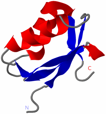 Image NMR Structure - model 1