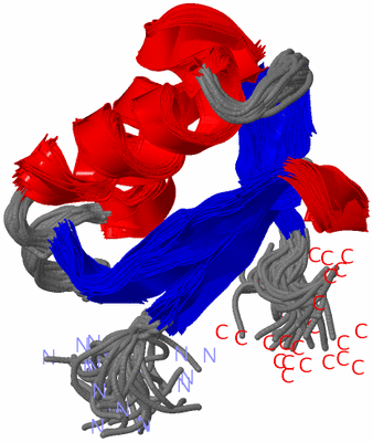 Image NMR Structure - all models