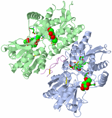 Image Biol. Unit 1 - sites