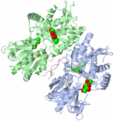 Image Asym./Biol. Unit