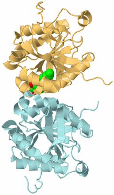 Image Biological Unit 10