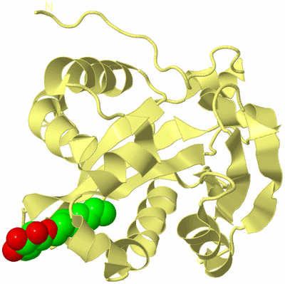 Image Biological Unit 4