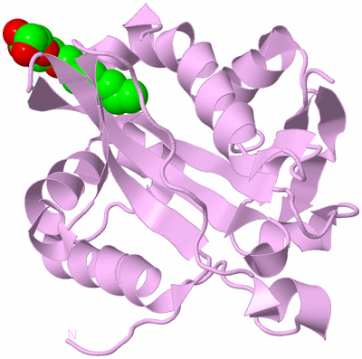 Image Biological Unit 5