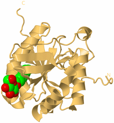 Image Biological Unit 7