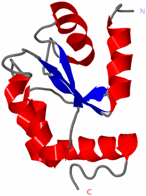 Image NMR Structure - model 1