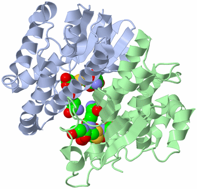 Image Asym./Biol. Unit