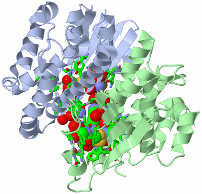 Image Asym./Biol. Unit - sites