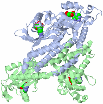 Image Asym./Biol. Unit
