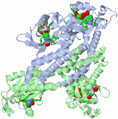 Image Asym./Biol. Unit - sites