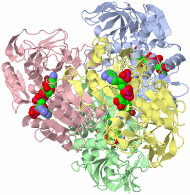 Image Asym./Biol. Unit