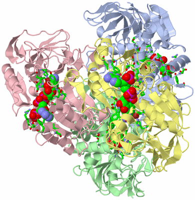 Image Asym./Biol. Unit - sites