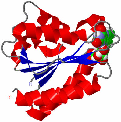 Image NMR Structure - model 1