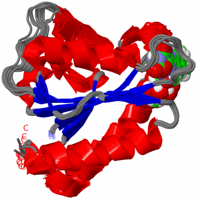 Image NMR Structure - all models