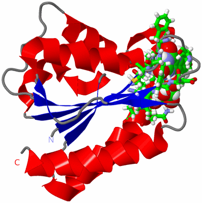 Image NMR Structure - model 1, sites