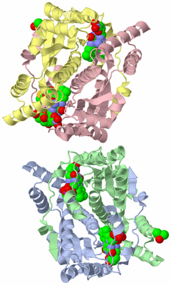 Image Asymmetric Unit