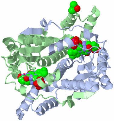 Image Biological Unit 1