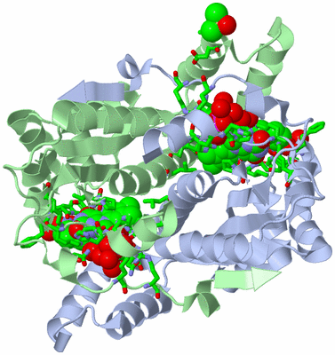 Image Biol. Unit 1 - sites