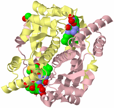 Image Biological Unit 2
