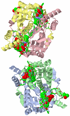 Image Asym. Unit - sites