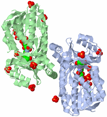 Image Biological Unit 1