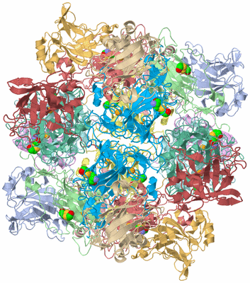 Image Biological Unit 1