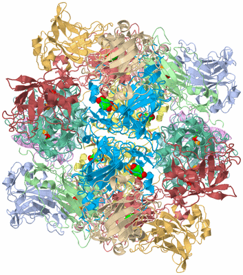 Image Biological Unit 1