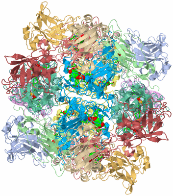 Image Biol. Unit 1 - sites