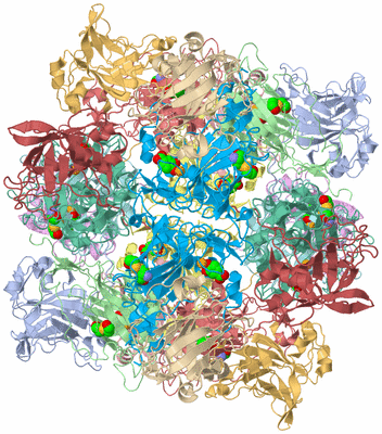 Image Biological Unit 1