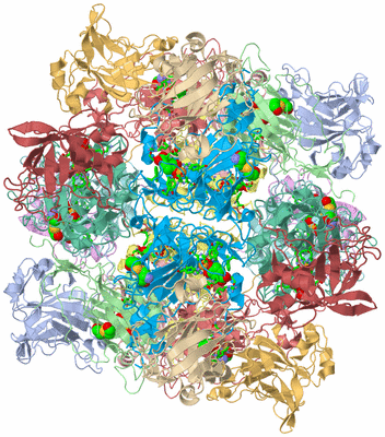 Image Biol. Unit 1 - sites