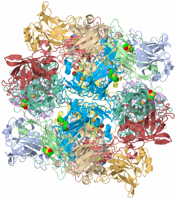 Image Biological Unit 1