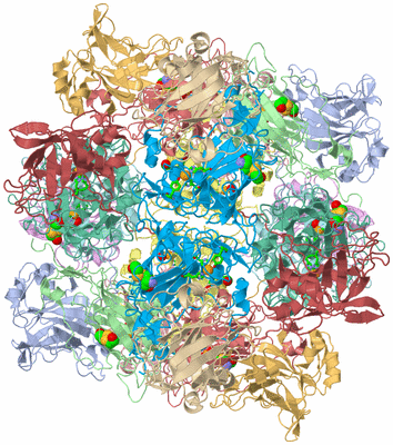 Image Biol. Unit 1 - sites