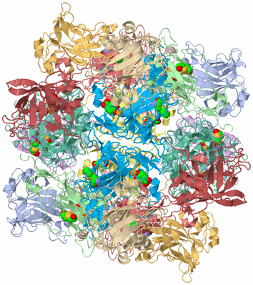 Image Biological Unit 1