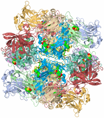 Image Biol. Unit 1 - sites