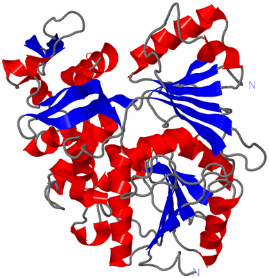 Image Asym./Biol. Unit