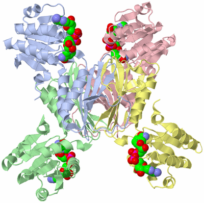 Image Biological Unit 1