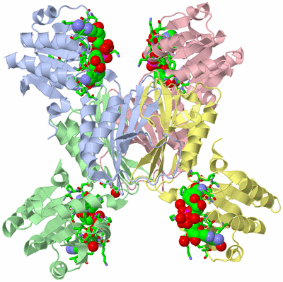 Image Biol. Unit 1 - sites